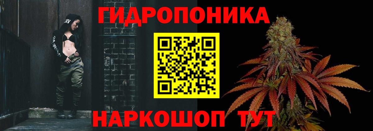 Марихуана Ganja  Вход с VPN  Бошки Шишки LSD WEED  Бошки марихуана VHQ  Сертолово  Бошки марихуана планчик 